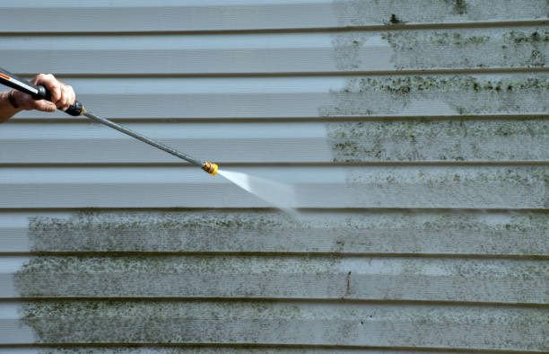 Best Deck Cleaning Services  in Lynwood, IL