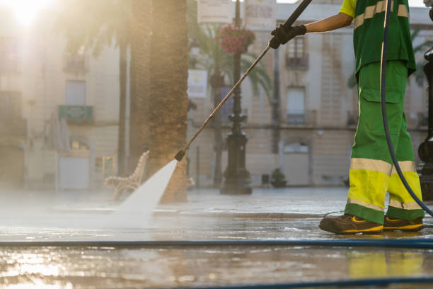 Professional Pressure Washing in Lynwood, IL